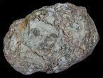 Crystal Filled Dugway Geode (Polished Half) #67496-1